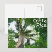 Costa Rica Tree Fotografie Postcard Postkarte (Vorne/Hinten)