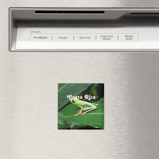 Costa Rica Tree Frog Magnet (In Situ (Geschirrspüler))