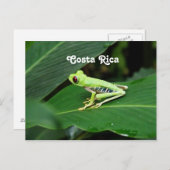 Costa Rica Tree Frog Postkarte (Vorne/Hinten)
