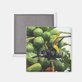 Costa Rica Tropical Toucan Purda Vida Magnet (Vorderseite/Rückseite)