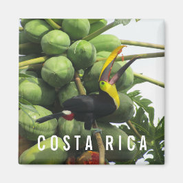 Costa Rica Tropical Toucan Souvenir Magnet