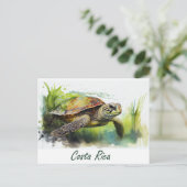 Costa Rica Turtle Postkarte (Stehend Vorderseite)