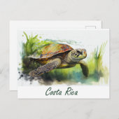 Costa Rica Turtle Postkarte (Vorne/Hinten)
