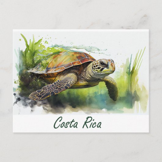 Costa Rica Turtle Postkarte (Vorderseite)