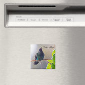 Costa Rica-Vogel - Hummingbird mit Meerschweinchen Magnet (In Situ (Geschirrspüler))
