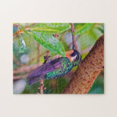 Costa Rica-Vogel - Hummingbird mit Meerschweinchen Puzzle (Horizontal)