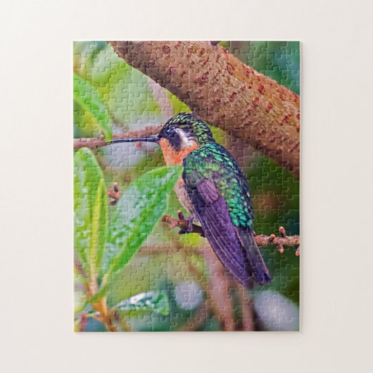 Costa Rica-Vogel - Hummingbird mit Meerschweinchen Puzzle (Vertikal)