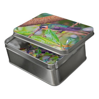 Meerschweinchen puzzle - Der Gewinner