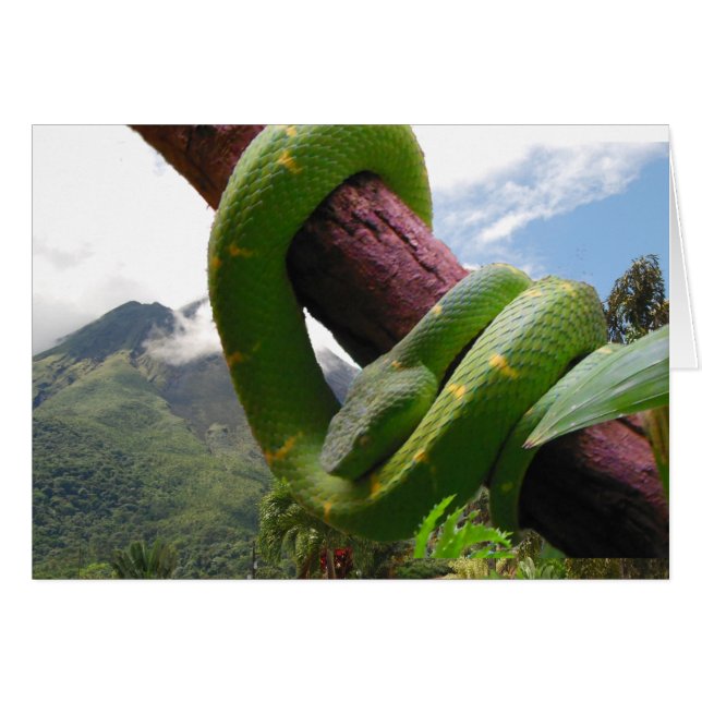 Costa Rica Vulkan und Schlange (Vorderseite (Horizontal))