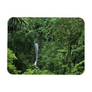 Costa Rica, Vulkangebiet Arenal, Hängebrücken Magnet