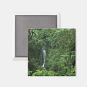 Costa Rica, Vulkangebiet Arenal, Hängebrücken Magnet (Vorderseite/Rückseite)