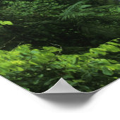 Costa Rica, Vulkangebiet Arenal, Hängebrücken Poster (Ecke)