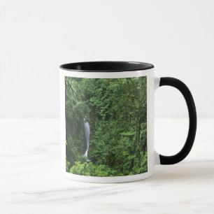 Costa Rica, Vulkangebiet Arenal, Hängebrücken Tasse