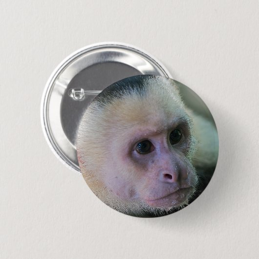 Costa Rica - Weißer Kapuzineraffe Button (Vorne & Hinten)
