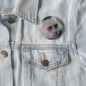 Costa Rica - Weißer Kapuzineraffe Button (Beispiel)