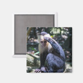 Costa Rica - Weißer Kapuzineraffe Magnet (Vorderseite/Rückseite)