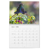Costa Rica Wildlife Kalender (Mär 2026)