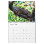 Costa Rica Wildlife Kalender (Jan 2027)