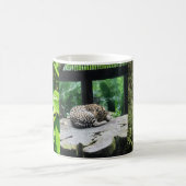 Costa Rica Wildlife Waterfall Tasse (Mittel)