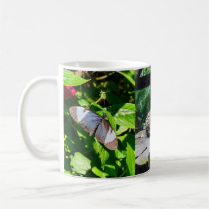 Costa Rica Wildlife Waterfall Tasse