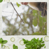 Costa Rica Wildlife: Weißer Capuchin-Affe Geschirrtuch (Gefaltet)