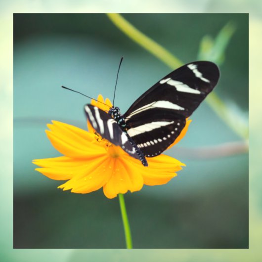 Costa Rica - Zebra Longwing Butterfly Fensteraufkleber (Blatt 3)