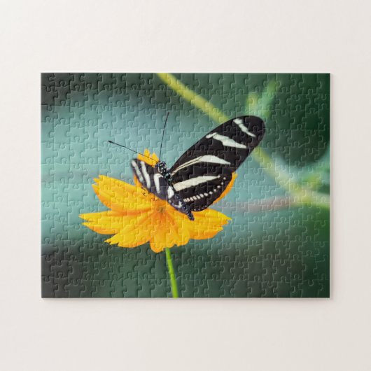 Costa Rica - Zebra Longwing Butterfly Puzzle (Horizontal)