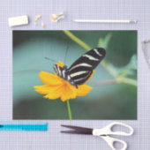 Costa Rica - Zebrafalter Seidenpapier (Handwerk)