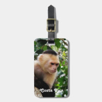 Costa Rican Affe