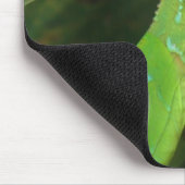 Costa Rican Eidechse Mousepad (Ecke)