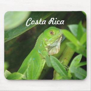 Costa Rican Eidechse Mousepad