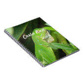 Costa Rican Eidechse Notizblock (Rechte Seite)