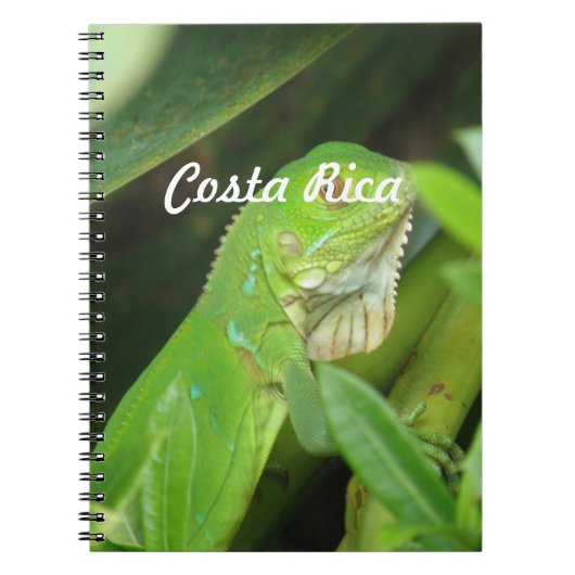 Costa Rican Eidechse Notizblock (Vorderseite)