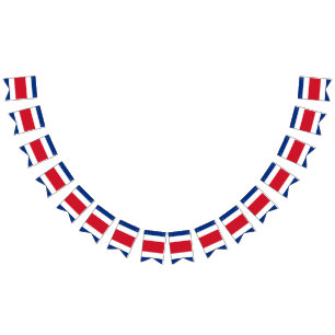 Costa Rican Flagge