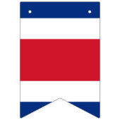 Costa Rican Flagge (Erste Fahne)