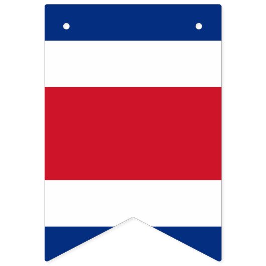 Costa Rican Flagge (Erste Fahne)
