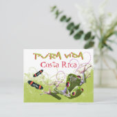 Costa Rican Pura Vida Tree Frog Postcard Postkarte (Stehend Vorderseite)