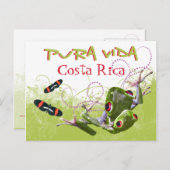 Costa Rican Pura Vida Tree Frog Postcard Postkarte (Vorne/Hinten)