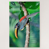 Costa Rican Toucan Jigsaw Puzzle (Vertikal)