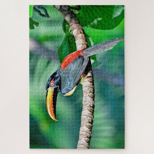 Costa Rican Toucan Jigsaw Puzzle (Vertikal)