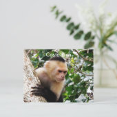 Costa-Ricaner Postkarte (Stehend Vorderseite)
