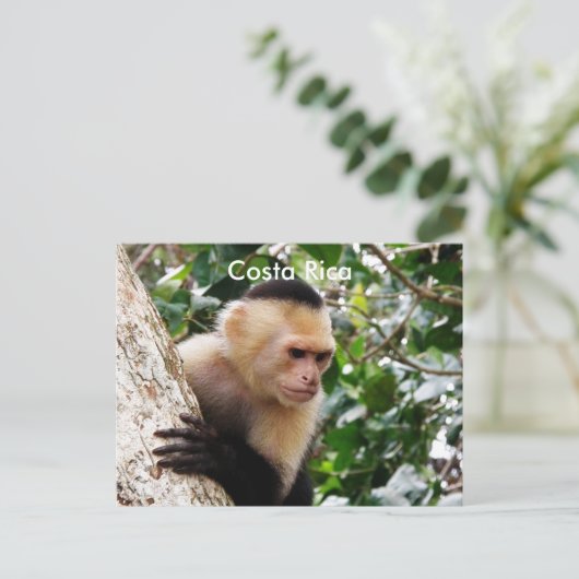 Costa-Ricaner Postkarte (Stehend Vorderseite)