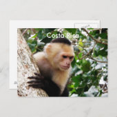 Costa-Ricaner Postkarte (Vorne/Hinten)