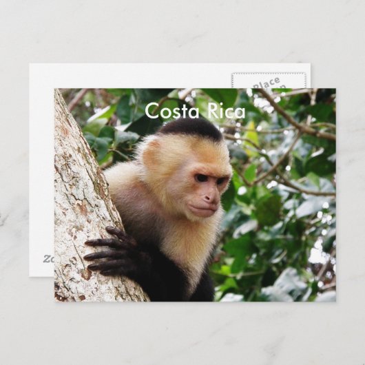 Costa-Ricaner Postkarte (Vorne/Hinten)