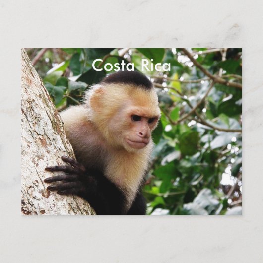 Costa-Ricaner Postkarte (Vorderseite)
