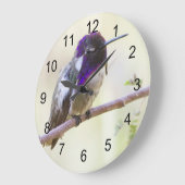 Costa's Hummingbird auf einem Ast Große Wanduhr (Winkel)