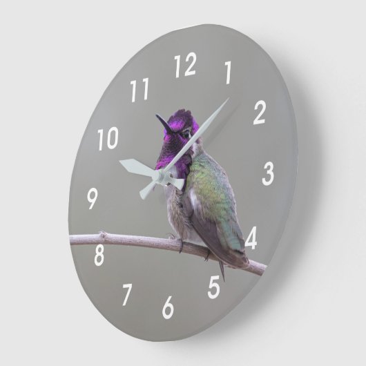 Costa's hummingbird große wanduhr (Winkel)