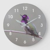 Costa's hummingbird große wanduhr (Vorderseite)