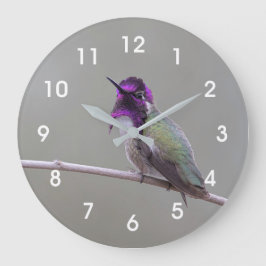 Costa's hummingbird große wanduhr