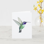 Costa's Hummingbird Grußkarte Karte (Gelbe Blume)
